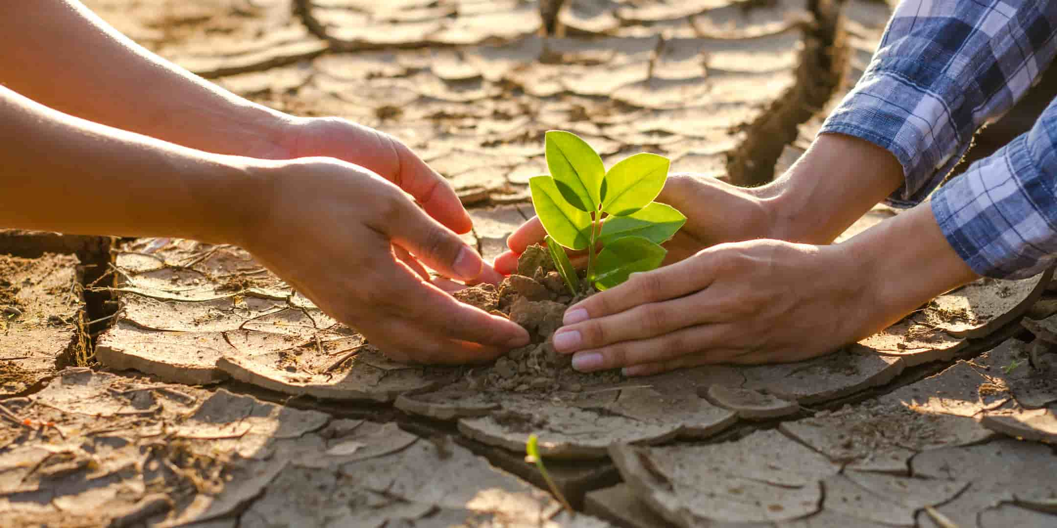 Cambio climático y desperdicio alimentario el dilema de la