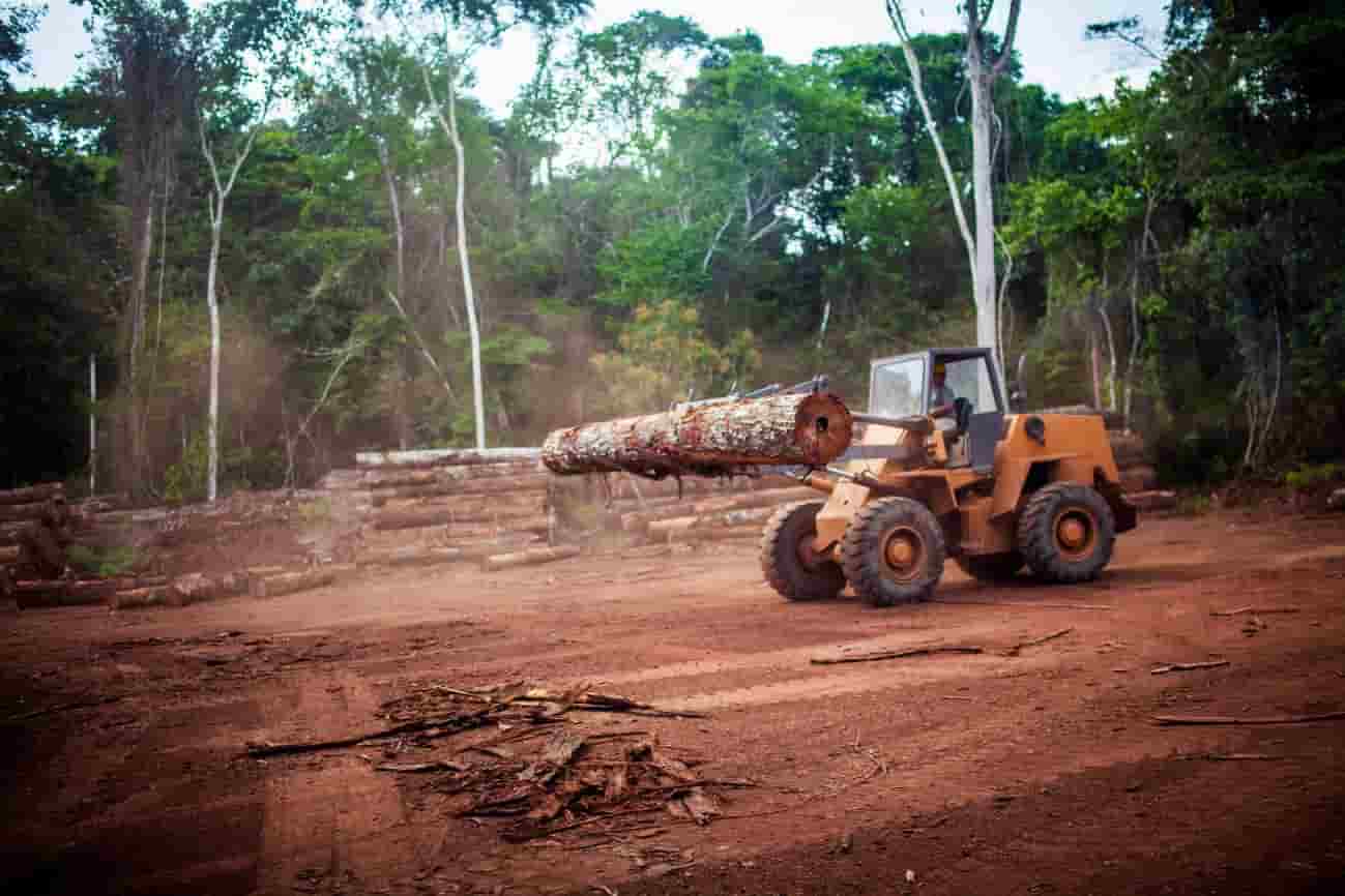 La selva amazónica se acerca a un punto de inflexión crítico