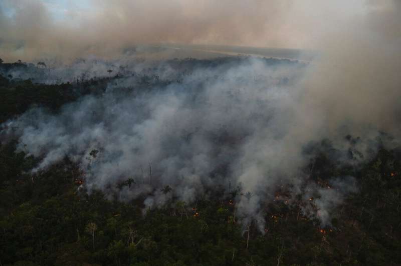 Récord de deforestación en la Amazonía brasileña en febrero