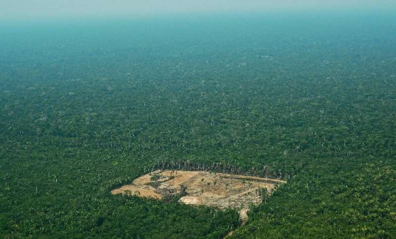 Deforestación en Brasil rompe récord de abril