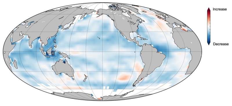 El océano del mundo está perdiendo su memoria debido al calentamiento global