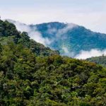 Bosques y pastizales de los Andes tropicales se reducirán debido al cambio climático
