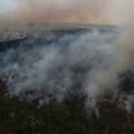 Brasil establece nuevo récord de deforestación en la Amazonía en seis meses