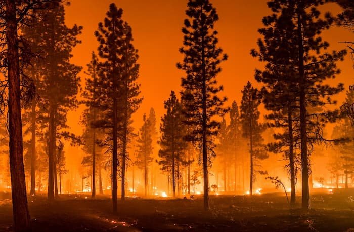 Las olas de calor disparan el riesgo de incendios en el oeste de Estados Unidos