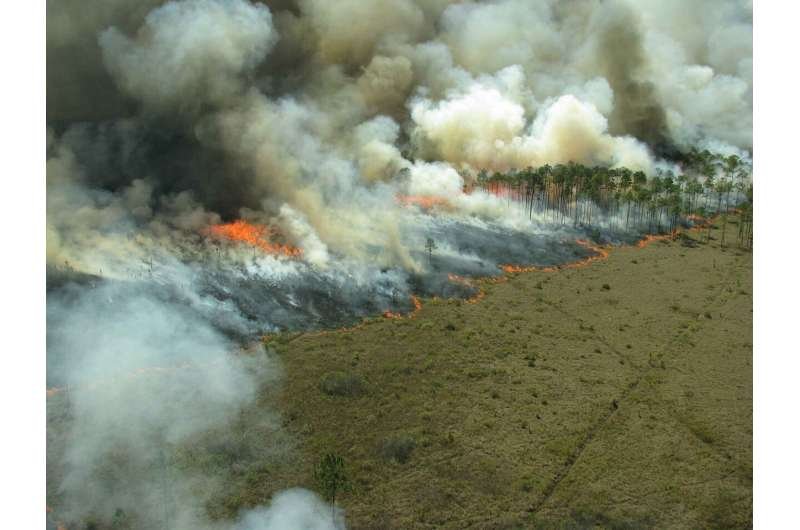 Quemas prescritas reducen humo de incendios