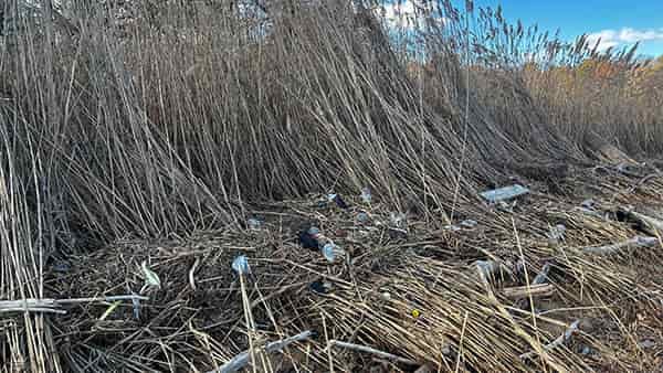 La basura flotante se extiende por la bahía de Chesapeake, el estuario más grande de los Estados Unidos