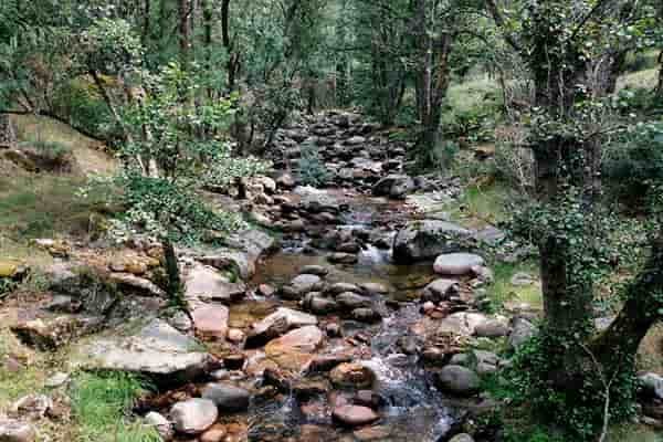 La crisis climática pone en riesgo la biodiversidad microbiana de los ríos