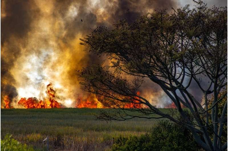 La temporada de incendios en África se acorta por lluvias tardías