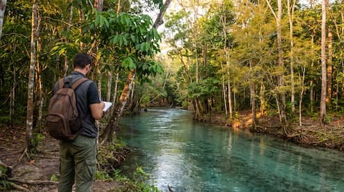 Los bosques con más especies almacenan más carbono y regulan mejor el agua