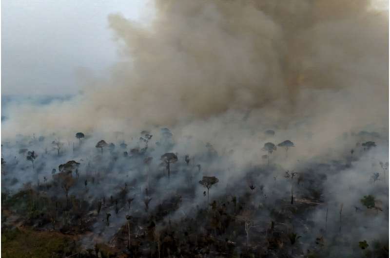 Los incendios en la Amazonia brasileña caen a un mínimo histórico