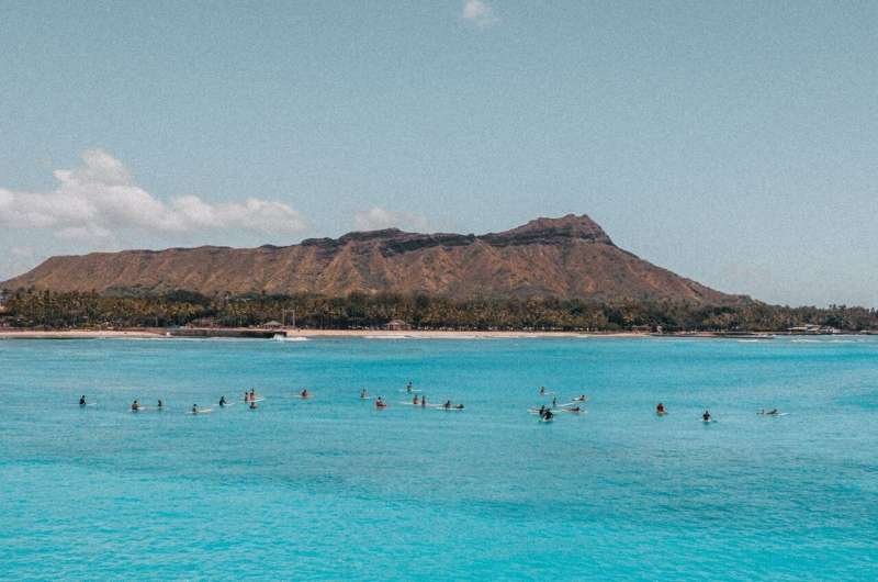 La pérdida de corales puede costar hasta 3.000 millones de dólares en Hawái