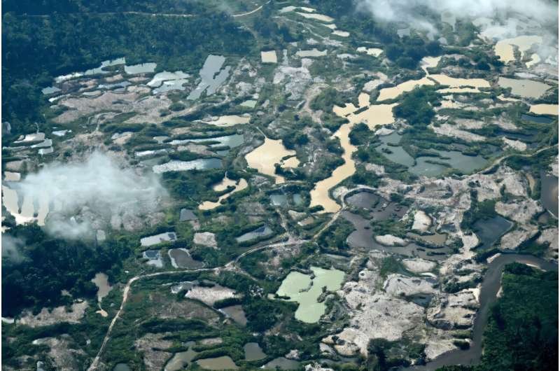 La deforestación en la Amazonia brasileña cae a su nivel más bajo en una década