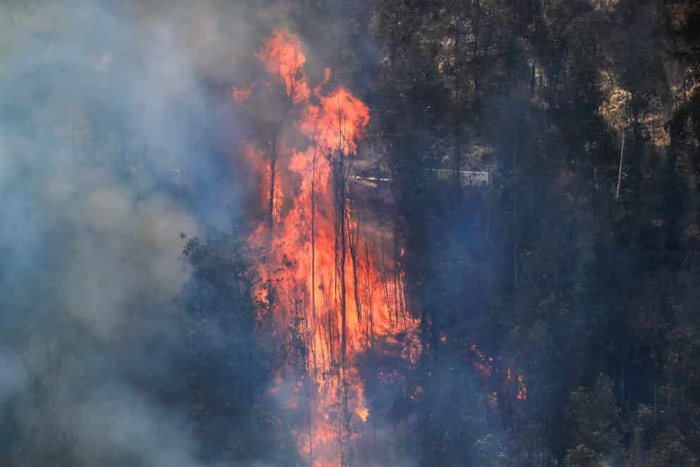 Ecuador activa campaña nacional contra incendios forestales