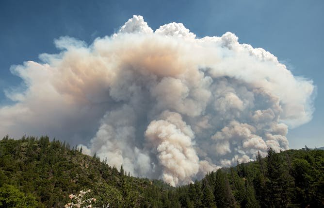 De tormentas eléctricas a remolinos de fuego: los incendios forestales pueden generar su propio clima