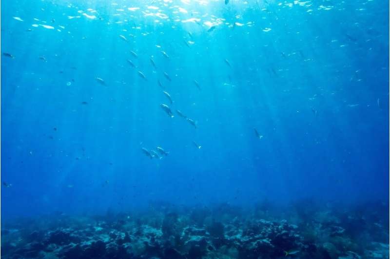 Los océanos registran el junio más cálido jamás medido