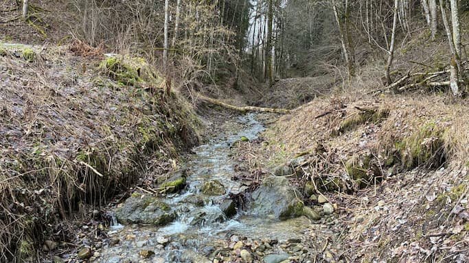 Alemania recupera manantiales ante la presión sobre el agua subterránea