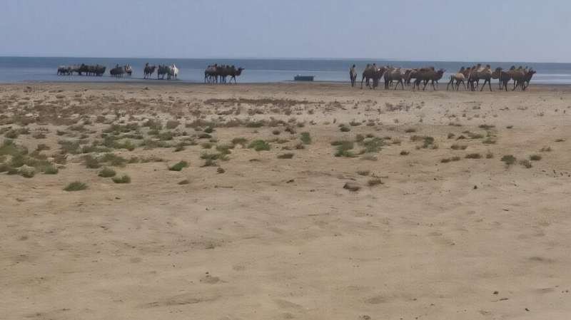 Restaurar el mar de Aral evitaría 605 megatoneladas de CO₂