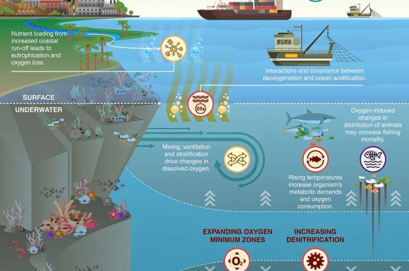 La pérdida de oxígeno acuático amenaza la estabilidad de la Tierra