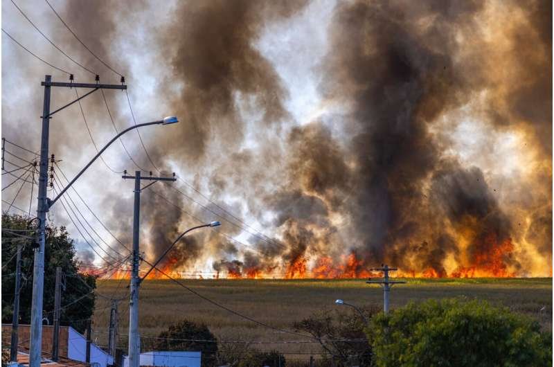 Ocho medidas para reducir las muertes por incendios forestales