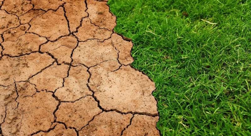 El calor intolerable amenaza a millones de adultos mayores