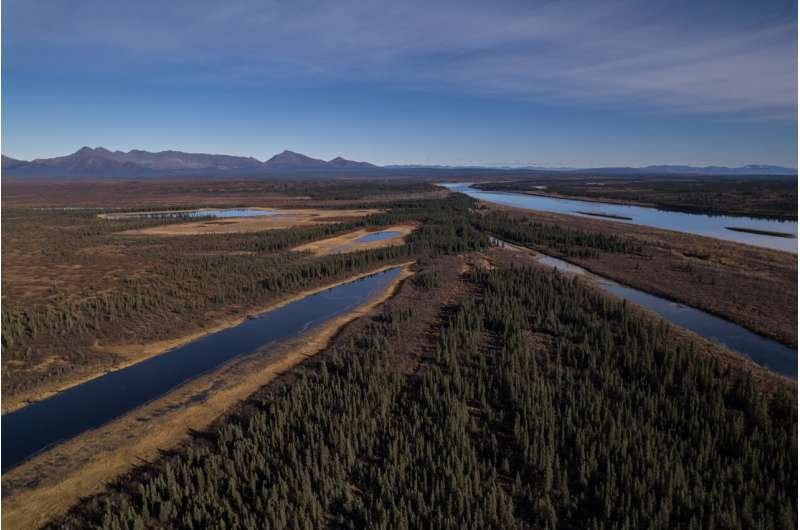 La tundra de Alaska crece y altera el equilibrio del Ártico