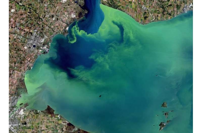 Un mineral oculto ayuda a retener fósforo en los lagos