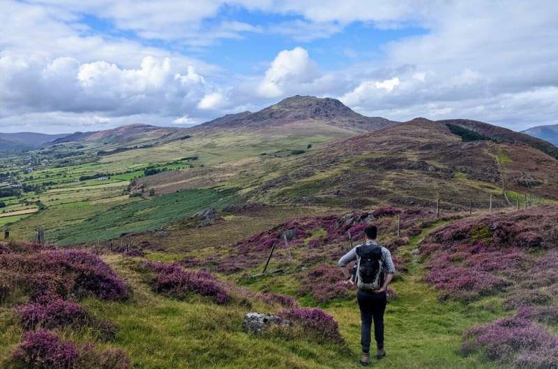 Un antiguo volcán de Irlanda cambia la visión de las cámaras magmáticas