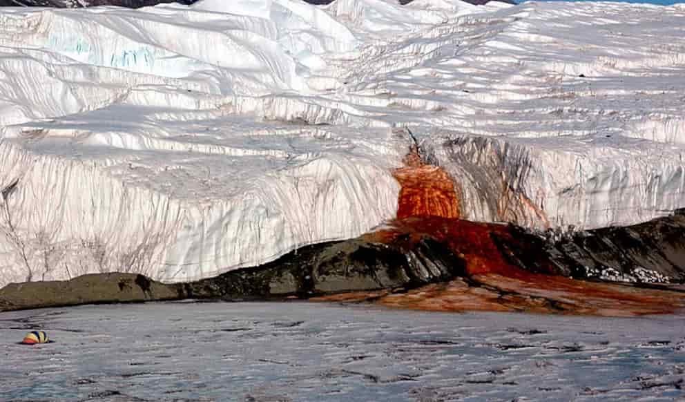 Microbios marinos revelan el origen de las Cataratas de Sangre