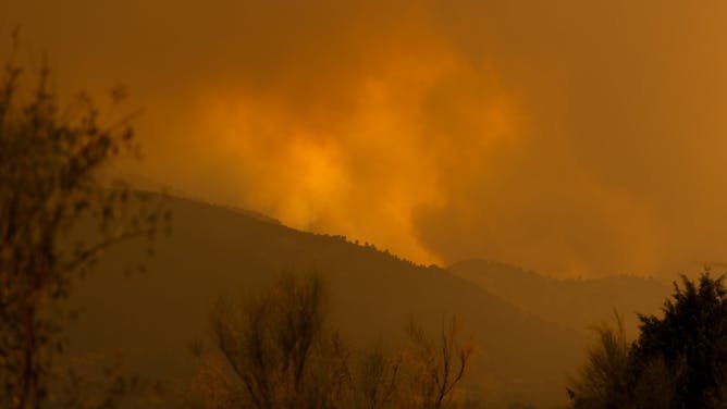 El fuego de cada verano: impacto socioeconómico y medioambiental de los incendios forestales