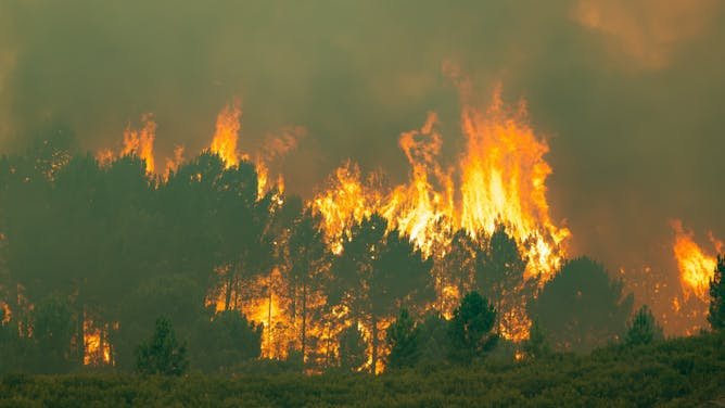 Los espacios naturales protegidos no están a salvo de los incendios y también necesitan medidas de prevención
