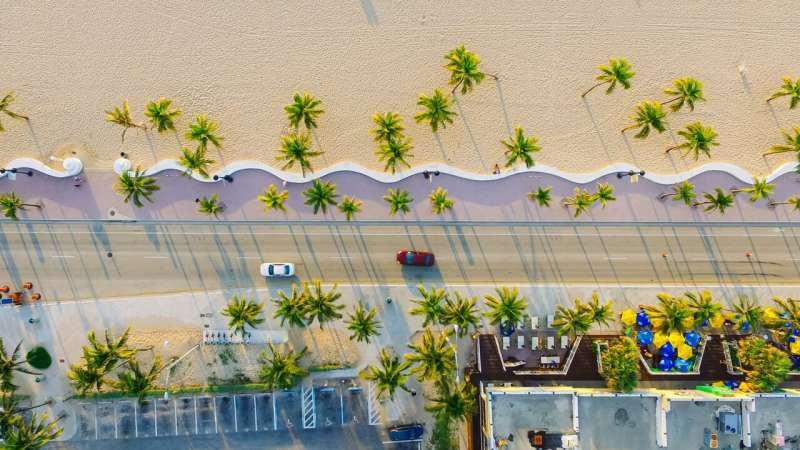 Los grandes árboles concentran el enfriamiento urbano de Miami