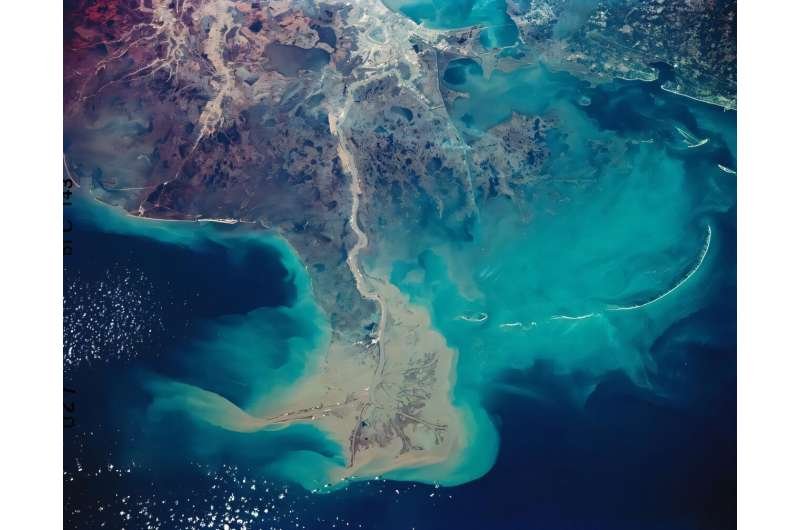 Estados Unidos pierde carbono azul por la erosión costera