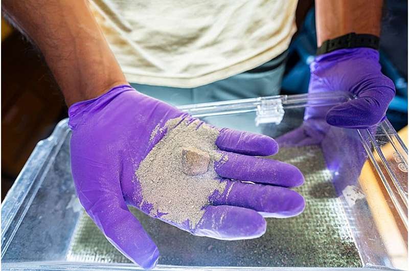 Bacterias modificadas aceleran la captura de CO₂ en rocas
