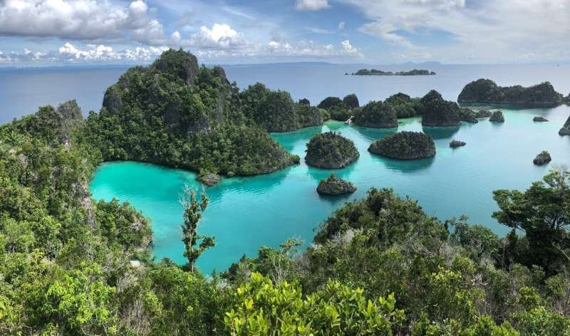 Terremoto de magnitud 7,7 golpea Indonesia y causa un tsunami