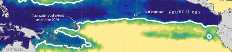 La salinidad del Pacífico anticipa señales de El Niño