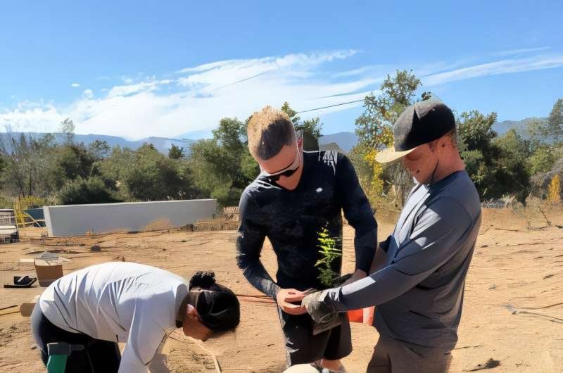 Estados Unidos prueba cómo restaurar bosques tras los incendios