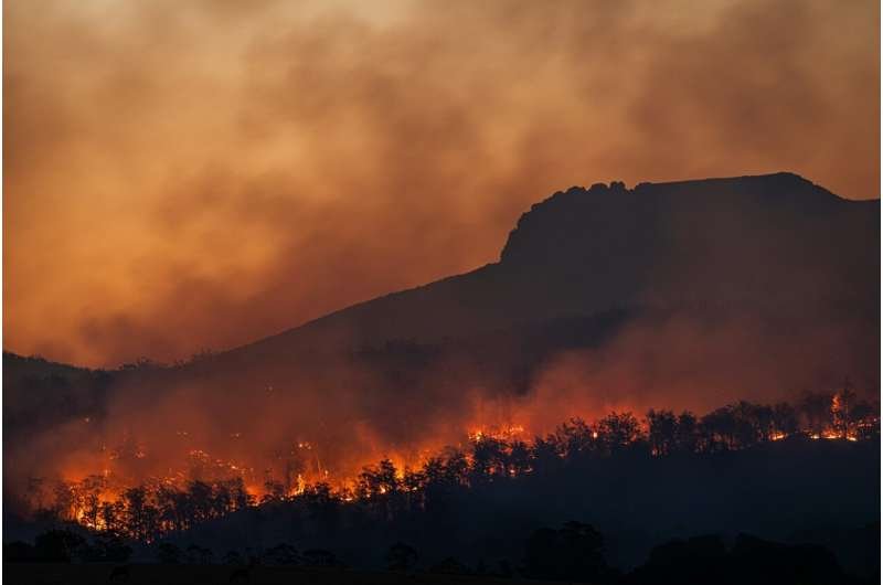 Los incendios en Europa tienen una doble causa humana
