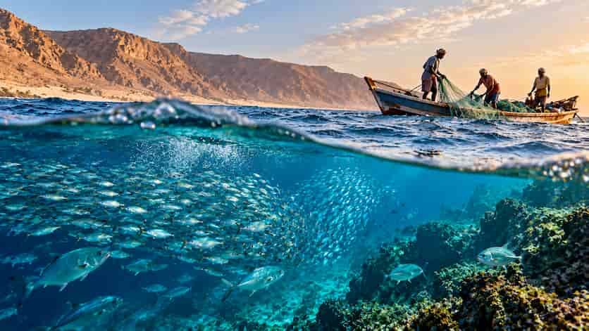 El cambio climático debilitaría el gran afloramiento de Somalia