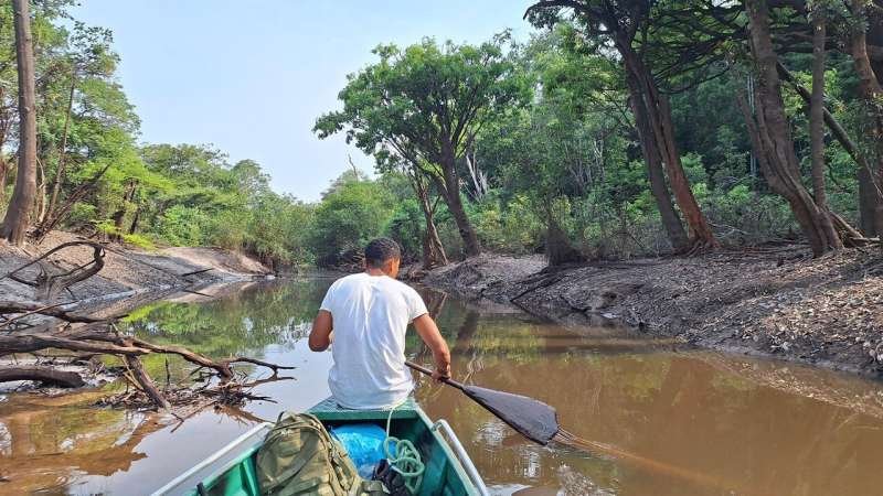 La Amazonía central emerge como foco de calor y estrés hídrico