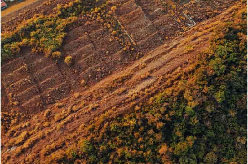 Brasil reduce la deforestación, pero la Amazonía enfrenta nuevos riesgos