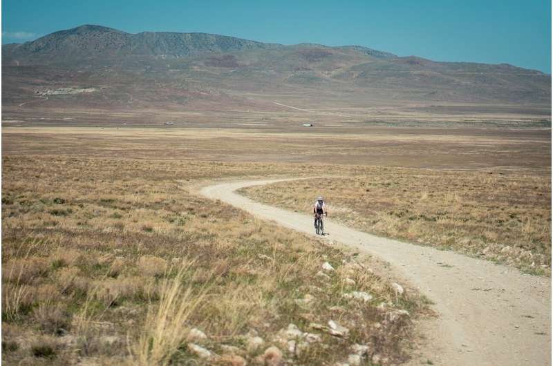 Las plantas podrían frenar la expansión de las tierras secas