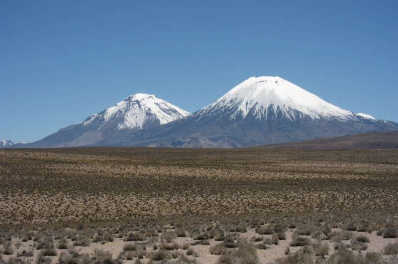 Una erupción preservó un paisaje andino de hace 22 millones de años