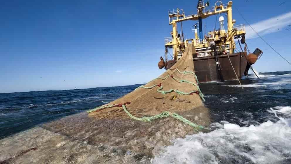 La geopolítica debilita la protección del océano Austral