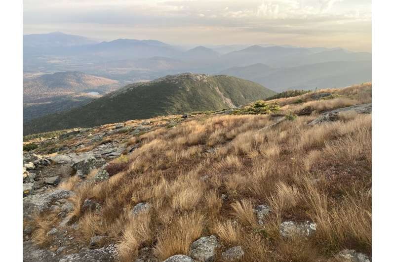 Las cumbres alpinas de Estados Unidos y Canadá se vuelven más verdes