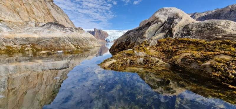 Los océanos polares almacenan carbono que aún no reconoce la política climática