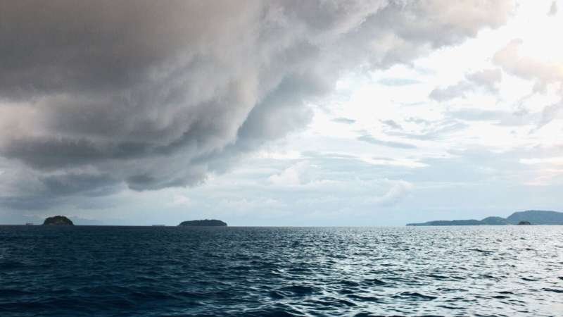 El Niño no descarta olas de calor marinas en Nueva Zelanda