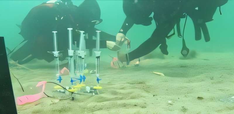 La alcalinidad oceánica gana fuerza como herramienta climática local