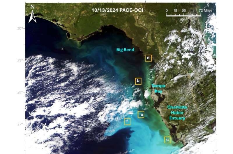 Satélites e inteligencia artificial detectan mareas rojas en Florida