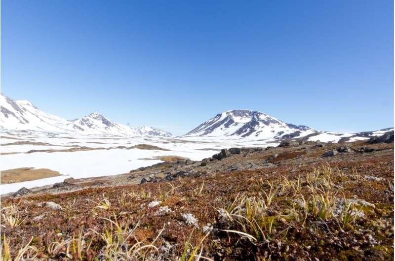 Muestras olvidadas revelan cuánto calor derritió el hielo de Groenlandia