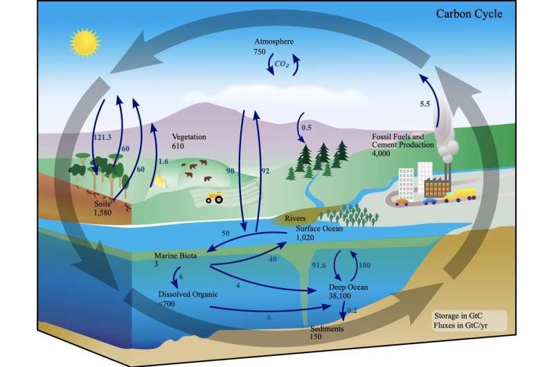 El océano Índico cambia su intercambio de CO₂ con la atmósfera